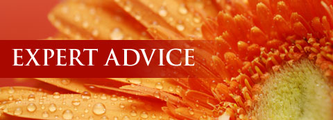 Content Image for GPGS